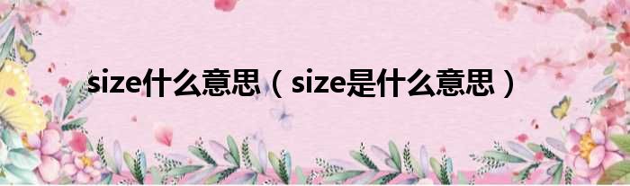 size什么意思（size是什么意思）