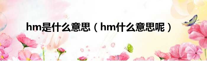 hm是什么意思（hm什么意思呢）