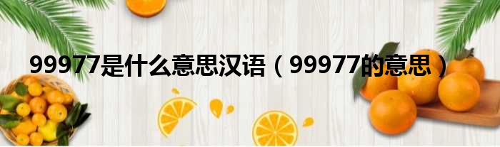 99977是什么意思汉语（99977的意思）