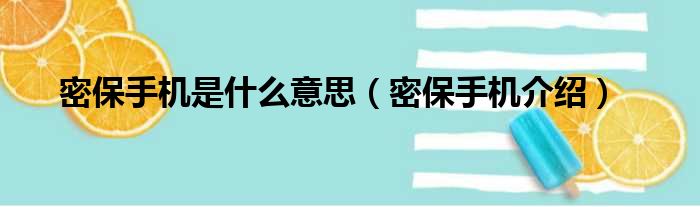 密保手机是什么意思（密保手机介绍）