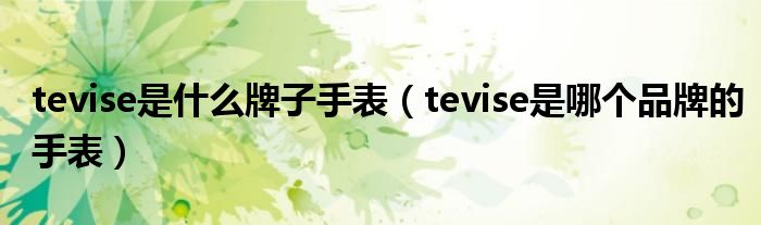 tevise是什么牌子手表（tevise是哪个品牌的手表）