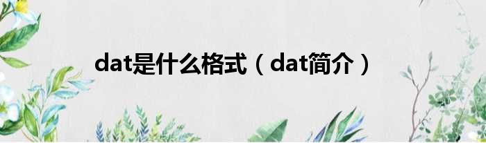 dat是什么格式（dat简介）