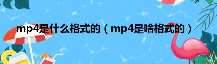 mp4是什么格式的（mp4是啥格式的）