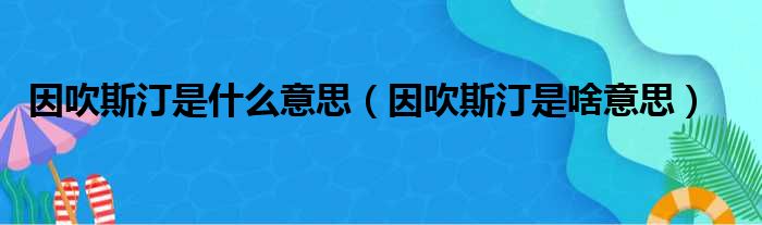 因吹斯汀是什么意思（因吹斯汀是啥意思）