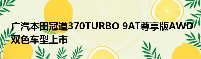 广汽本田冠道370TURBO 9AT尊享版AWD双色车型上市