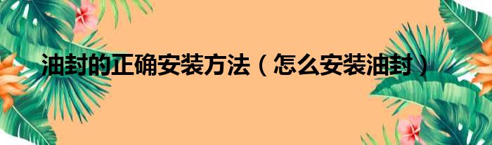 油封的正确安装方法（怎么安装油封）