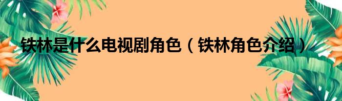 铁林是什么电视剧角色（铁林角色介绍）