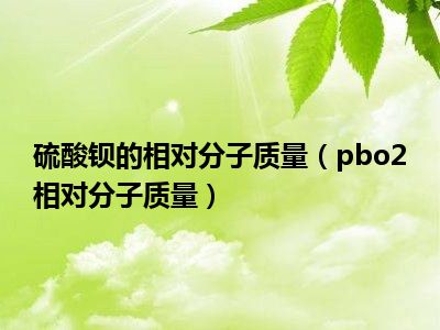 硫酸钡的相对分子质量（pbo2相对分子质量）