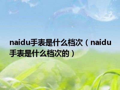 naidu手表是什么档次（naidu手表是什么档次的）