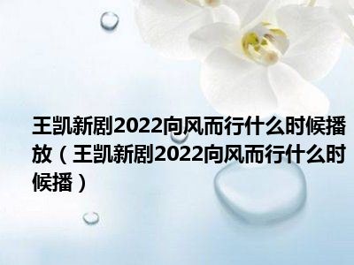 王凯新剧2022向风而行什么时候播放（王凯新剧2022向风而行什么时候播）