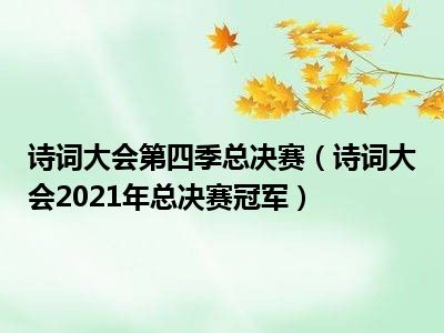 诗词大会第四季总决赛（诗词大会2021年总决赛冠军）