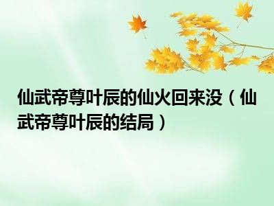 仙武帝尊叶辰的仙火回来没（仙武帝尊叶辰的结局）