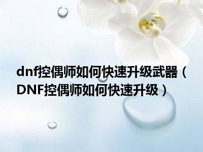 dnf控偶师如何快速升级武器（DNF控偶师如何快速升级）