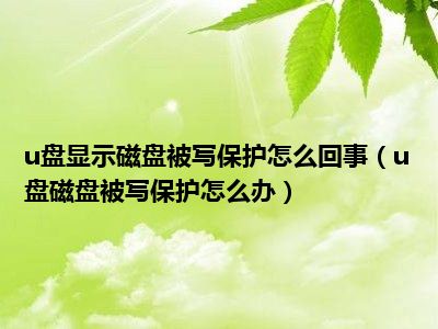 u盘显示磁盘被写保护怎么回事（u盘磁盘被写保护怎么办）