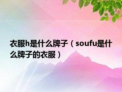 衣服h是什么牌子（soufu是什么牌子的衣服）