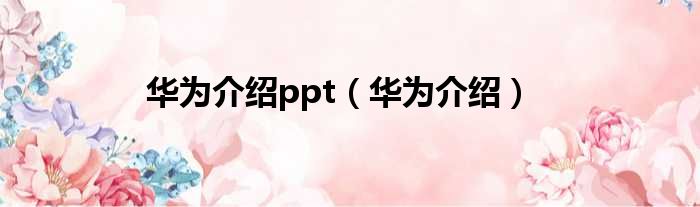 华为介绍ppt（华为介绍）