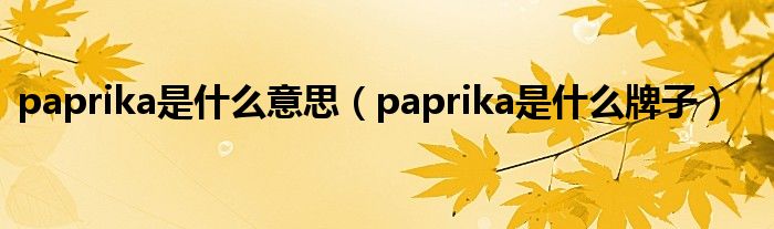  paprika是什么意思（paprika是什么牌子）
