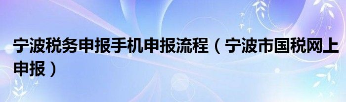  宁波税务申报手机申报流程（宁波市国税网上申报）