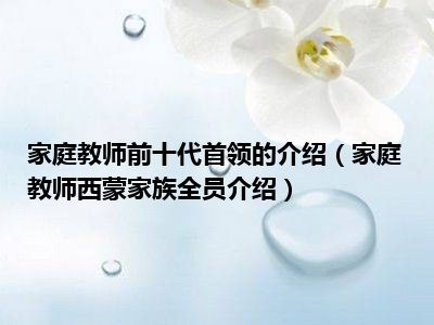 家庭教师前十代首领的介绍（家庭教师西蒙家族全员介绍）