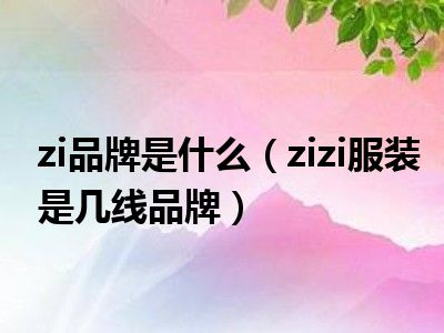 zi品牌是什么（zizi服装是几线品牌）