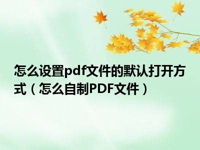 怎么设置pdf文件的默认打开方式（怎么自制PDF文件）