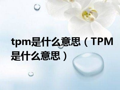 tpm是什么意思（TPM是什么意思）