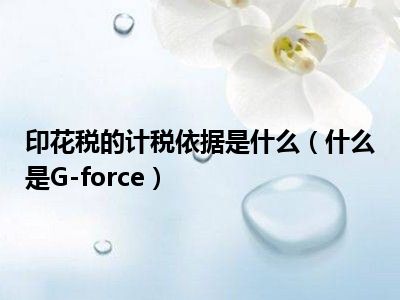 印花税的计税依据是什么（什么是G-force）