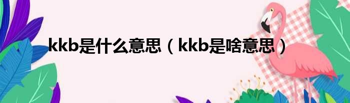 kkb是什么意思（kkb是啥意思）