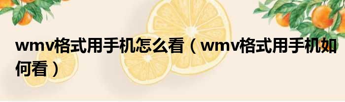 wmv格式用手机怎么看（wmv格式用手机如何看）