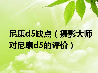 尼康d5缺点（摄影大师对尼康d5的评价）