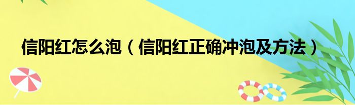 信阳红怎么泡（信阳红正确冲泡及方法）