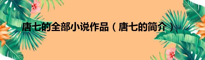 唐七的全部小说作品（唐七的简介）