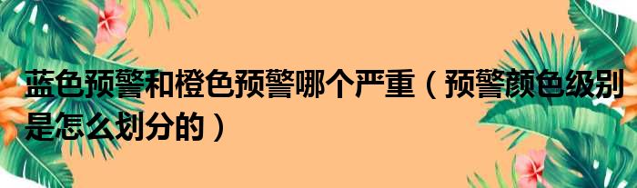 蓝色预警和橙色预警哪个严重（预警颜色级别是怎么划分的）