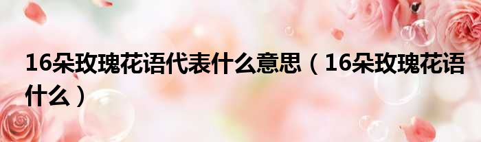 16朵玫瑰花语代表什么意思（16朵玫瑰花语什么）