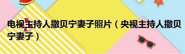 电视主持人撒贝宁妻子照片（央视主持人撒贝宁妻子）