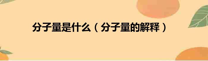 分子量是什么（分子量的解释）