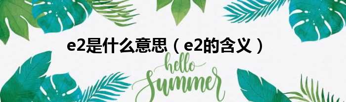 e2是什么意思（e2的含义）