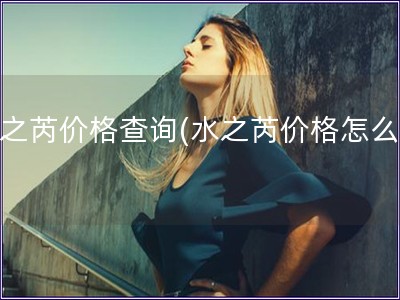 水之芮价格查询(水之芮价格怎么查)