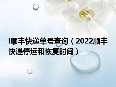 l顺丰快递单号查询（2022顺丰快递停运和恢复时间）