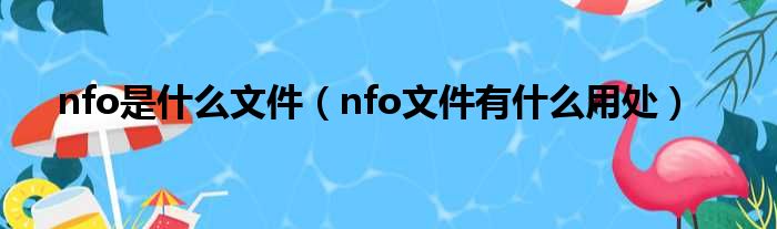 nfo是什么文件（nfo文件有什么用处）