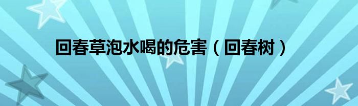  回春草泡水喝的危害（回春树）