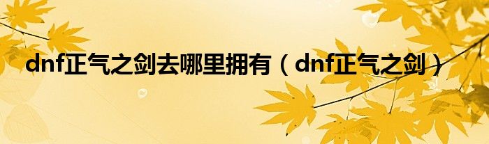  dnf正气之剑去哪里拥有（dnf正气之剑）