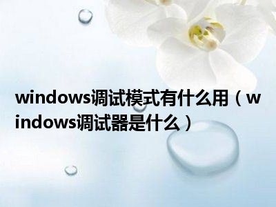 windows调试模式有什么用（windows调试器是什么）