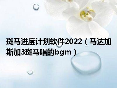 斑马进度计划软件2022（马达加斯加3斑马唱的bgm）