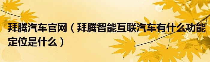  拜腾汽车官网（拜腾智能互联汽车有什么功能定位是什么）