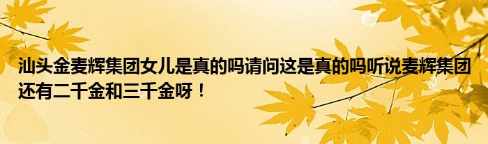  汕头金麦辉集团女儿是真的吗请问这是真的吗听说麦辉集团还有二千金和三千金呀！