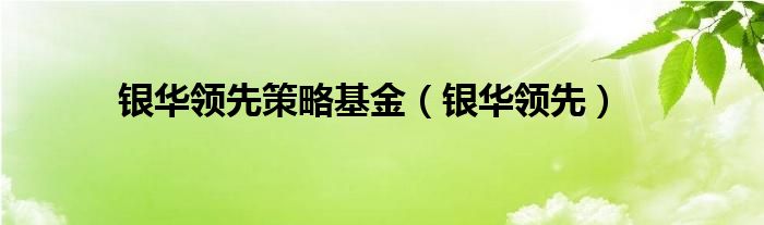  银华领先策略基金（银华领先）