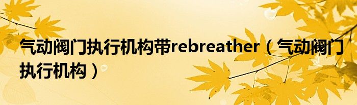  气动阀门执行机构带rebreather（气动阀门执行机构）