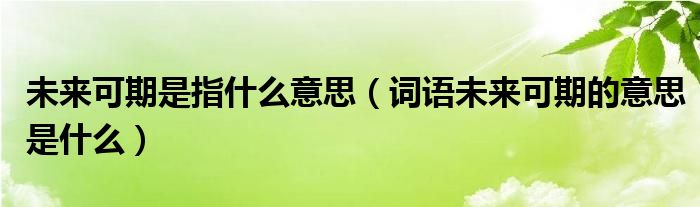 未来可期是指什么意思（词语未来可期的意思是什么）