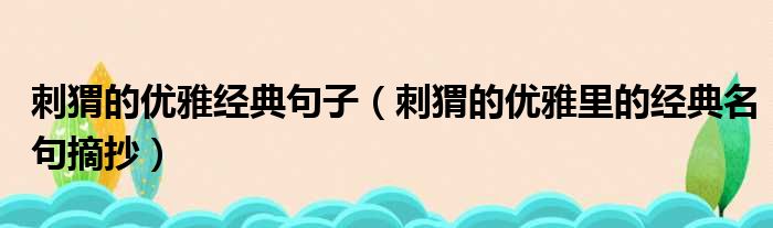 刺猬的优雅经典句子（刺猬的优雅里的经典名句摘抄）